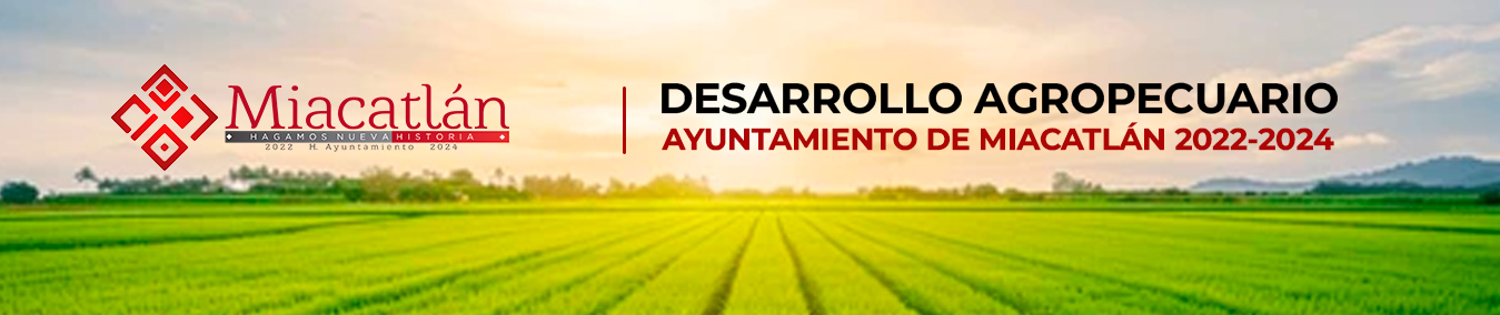 AGROPECUARIO-MIACATLAN