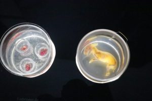 IMG_0075